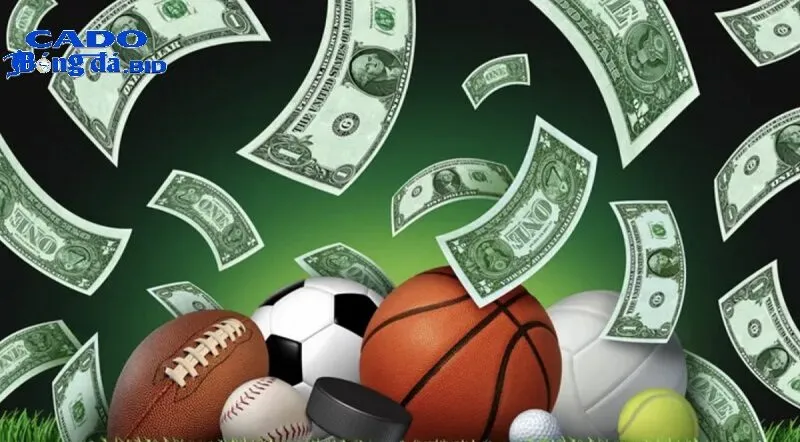 Cam kết từ Cá Độ Bóng Đá - Định nghĩa lại Trang cá cược uy tín