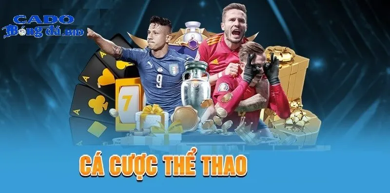 Lợi ích khi tham gia Trang cá độ bóng đá uy tín