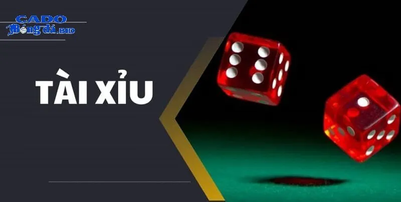 Tài xỉu uy tín - Lựa chọn hàng đầu của dân chơi thông thái