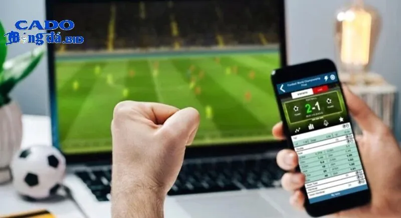 Web cá cược bóng đá - Đỉnh cao giải trí và cơ hội sinh lời