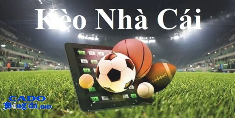 Tương lai của Kèo bóng đá nhà cái và vai trò của Cá Độ Bóng Đá