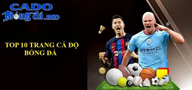 Top 10 Nhà Cái Cá Độ Bóng Đá Uy Tín 2025