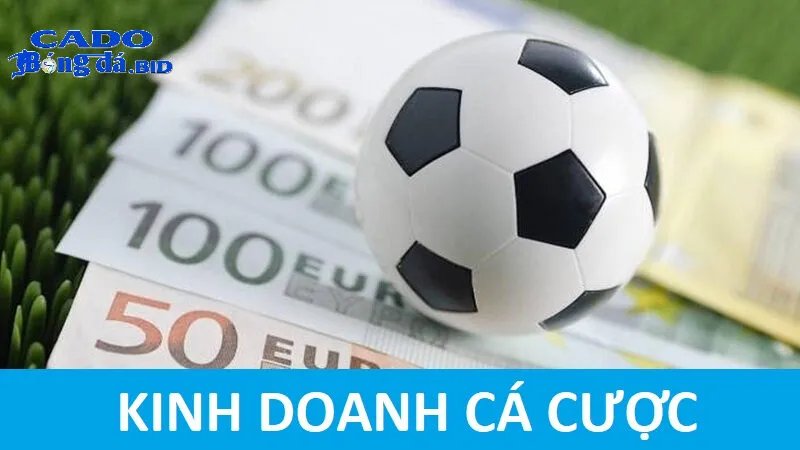 Có những loại hình cá cược bóng đá nào được nhà nước Việt Nam cấp phép không?