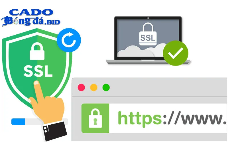 Đặc điểm nổi bật của các trang web tải game chính thức