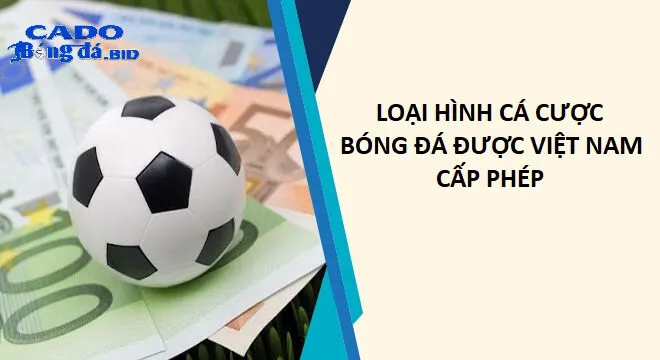 Khung pháp lý hiện hành