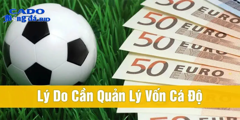 Cần chuẩn bị những gì khi muốn soi kèo bóng đá?